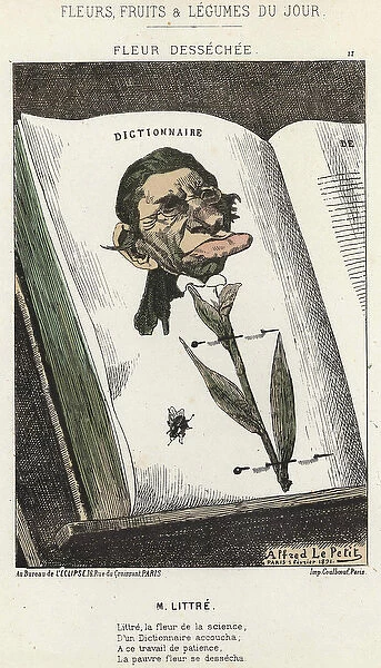 Desechee flower: cartoon on Littre - ill. from 01  /  02  /  1871 in 'Flowers