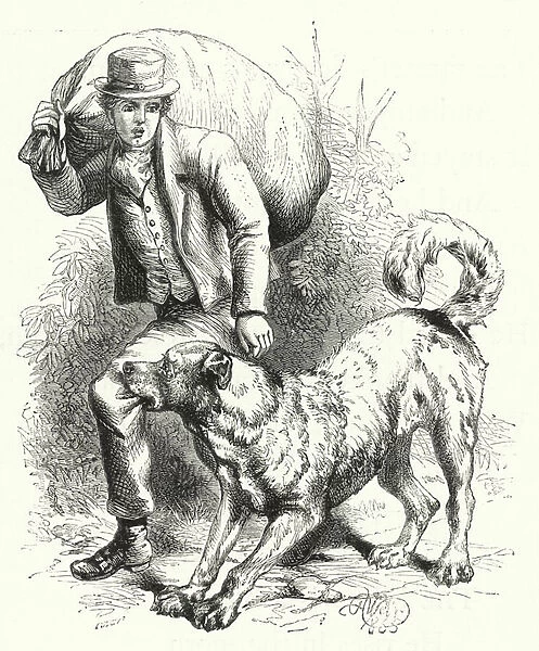 The Dog and the Thief (engraving)