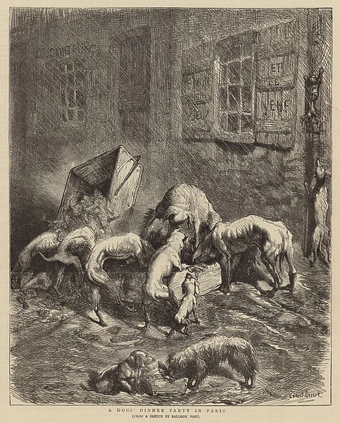 A Dogs Dinner Party in Paris (engraving)