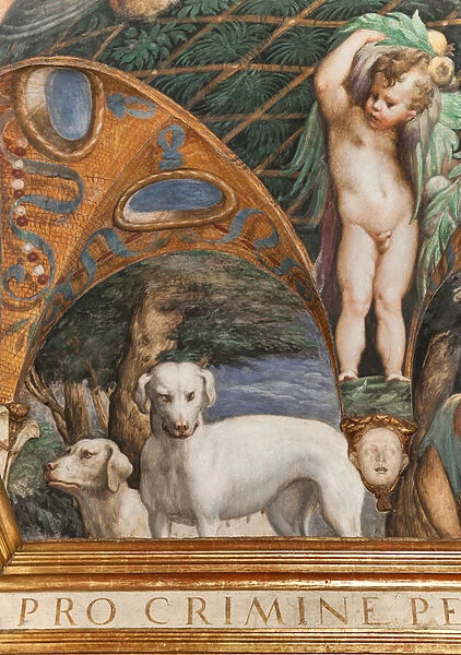 Dogs, from the Room of Diana and Actaeon, detail of 2384753, 1524