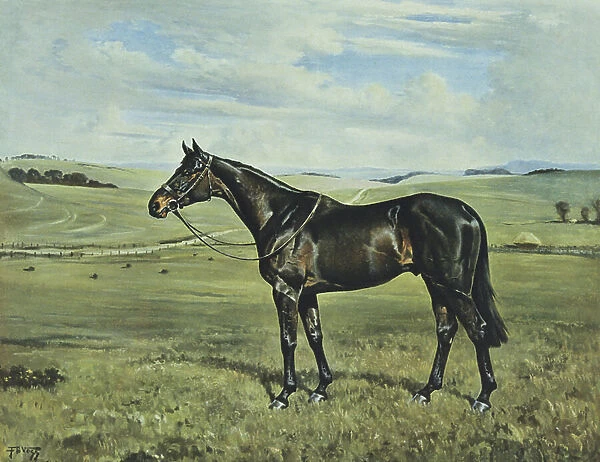 'Drimore Lad', 1936 (coloured litho)
