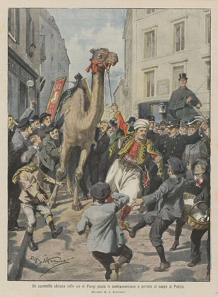 A drunken camel in the streets of Paris placed in contravention and taken to the police force (colour litho)