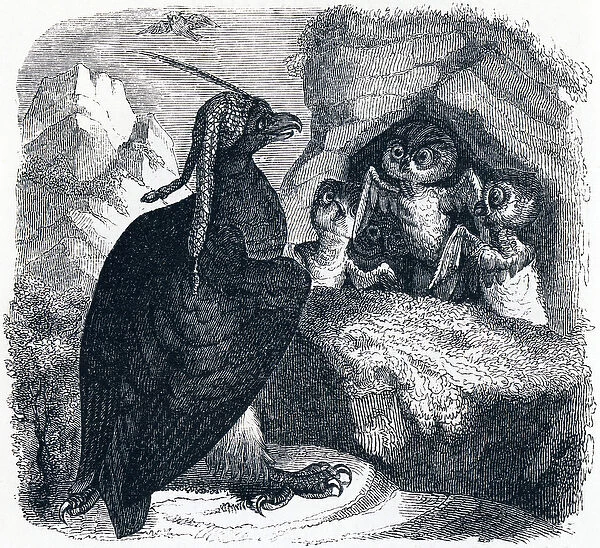 The Eagle and the Owl, illustration from Fables of La Fontaine
