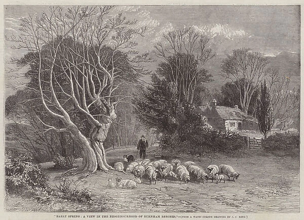 Early Spring, a View in the Neighbourhood of Burnham Beeches (engraving)