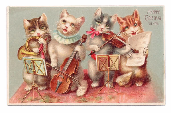 Edwardian Christmas postcard of three cats playing musical instruments
