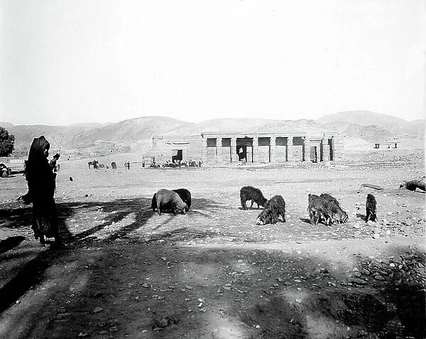 Egypt: Cook cruise, tourists visit a ruined temple, in front of veiled women guarding sheep, Upper Egypt, 1900
