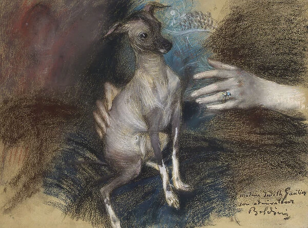 Elegante au Chien (pastel and charcoal on paper)