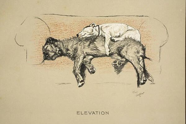 Elevation, 1930, 1st Edition of Sleeping Partners, Aldin