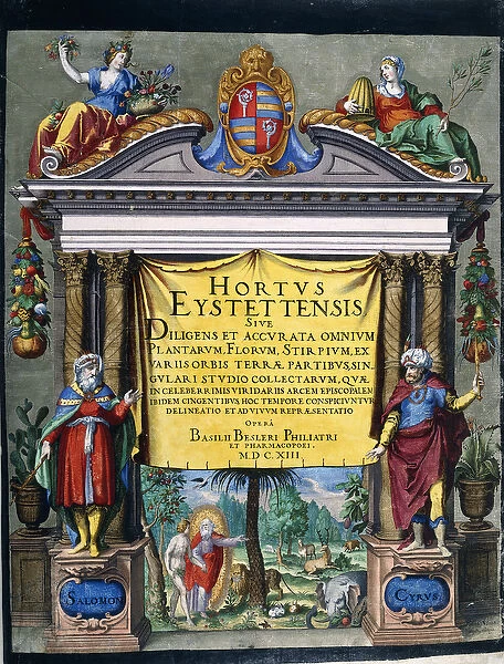 Engraved title for the Florilegium Hortus Eystettensis