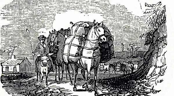 Engraving depicting a team of packhorses transporting goods from one part of Britain to another, 19th century