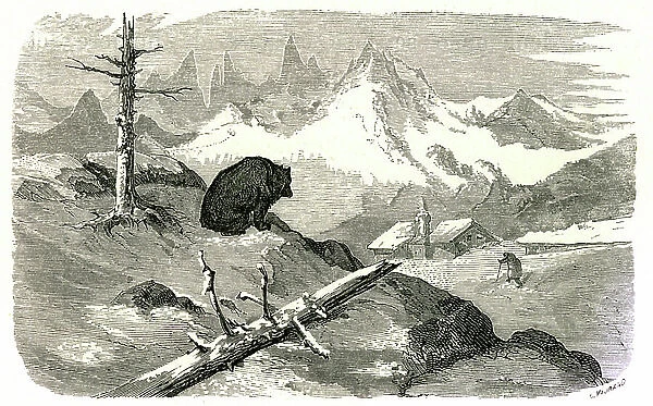 Engraving by Gustave Dore illustrating the book ' Voyage aux Pyrenees d'Hippolyte Taine, Hachette 1860. Bear watching a man heading towards his house in the mountain