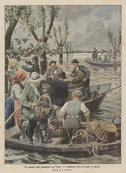 An episode of the floods in Veneto, the harvest made with the means of boats (colour litho)
