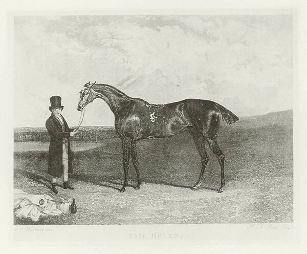 Fair Helen, foaled 1817 (b  /  w photo)