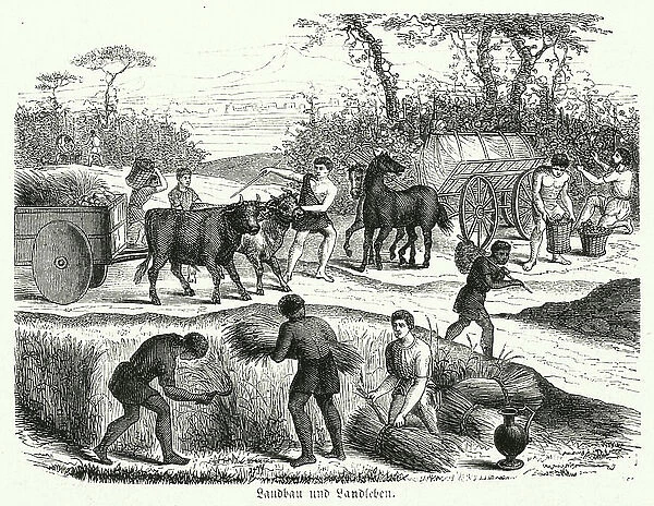 Farming and rural life in ancient Rome (engraving)