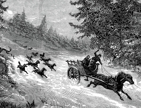 The fear of the wolf: A pack of wolves pursues a cart carrying three people, drawn by a horse running away in the snow, in a forest in the Ardennes - engraving by Meaulle in 'The Illustrous Universe' No. 918, January 1872