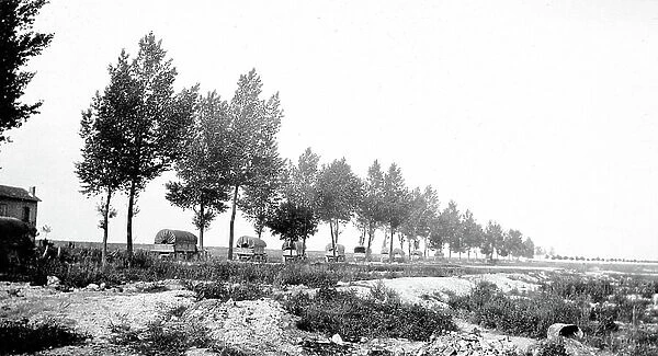 First World War: France, Champagne-Ardenne, Marne (51), Reims: convoy of trucks on a straight tree-lined road, 1915