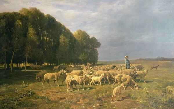 Flock of Sheep in a Landscape (oil on canvas)