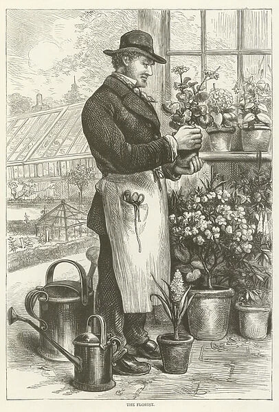 The florist (engraving)
