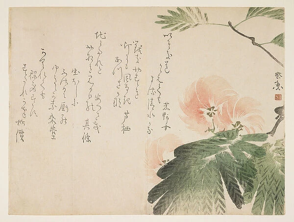Flowering silk tree, c. 1830-43 (colour woodblock print)