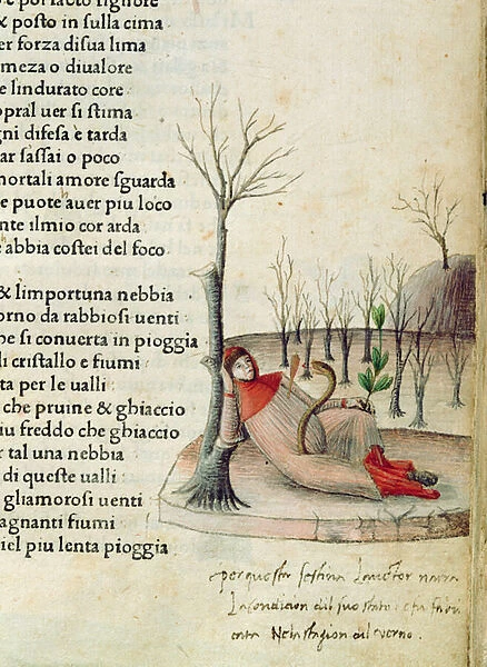Fol. 52r from Canzoniere e Trionfi by Petrarch, c. 1470