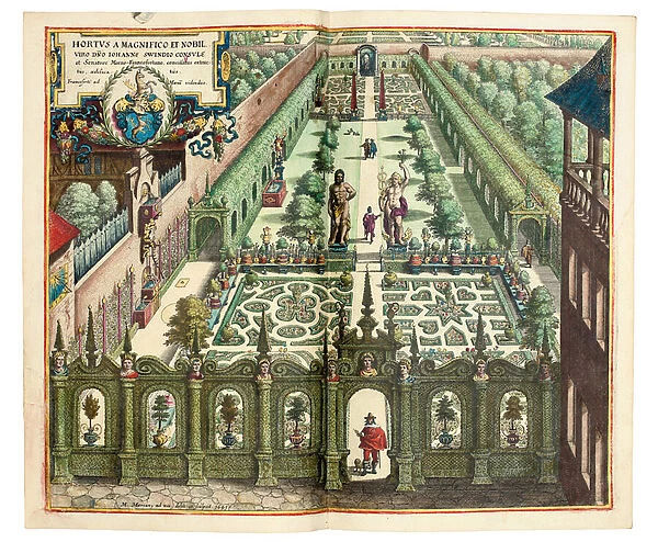 The Garden of Johan Schwinden, 1641 (hand-coloured engraving)
