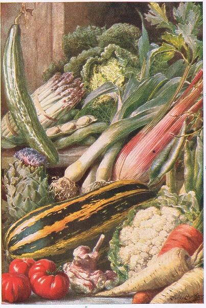 Garden Vegetables, illustration from Garden Ways and Garden Days (colour litho)