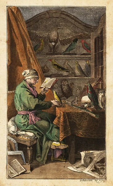 German ornithologist in his study, 18th century. 1772 (engraving)