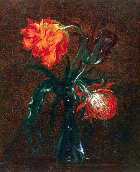 Glass vase with two tulips