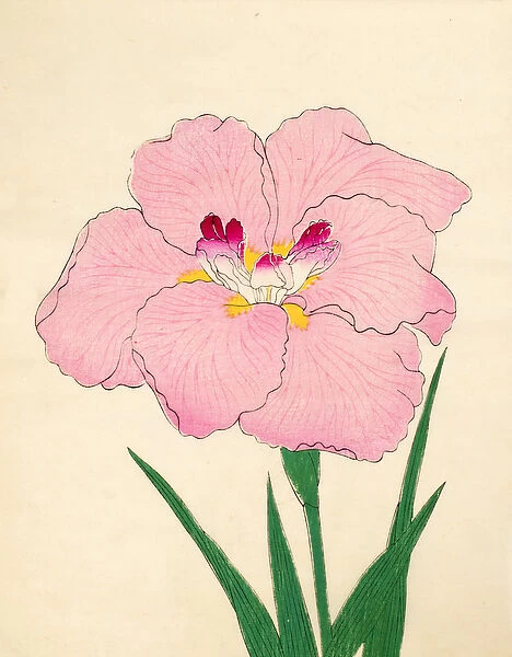 Gofukushoshu, No. 86, 1890 (colour woodblock print)
