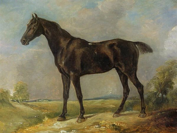 Golding Constables Black Riding-Horse, c. 1805-10 (oil on panel)