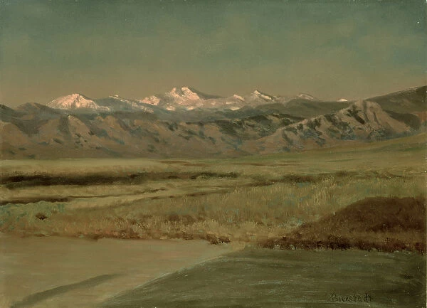 The Grand Tetons, Wyoming (oil on paper laid down on board)