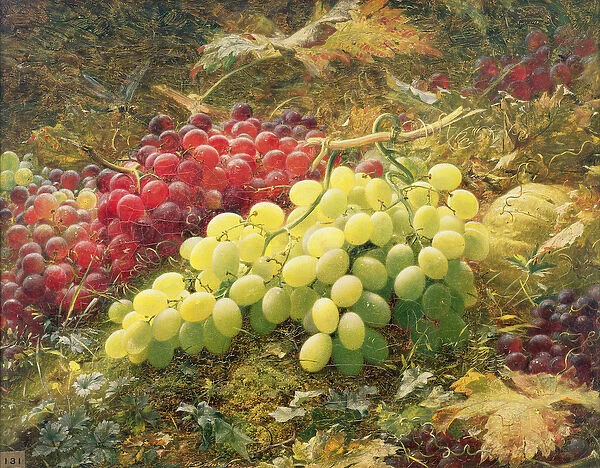 Grapes. SAG186603 Grapes by Muckley, William Jabez 