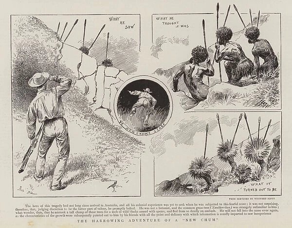 The harrowing adventure of a New Chum (engraving)