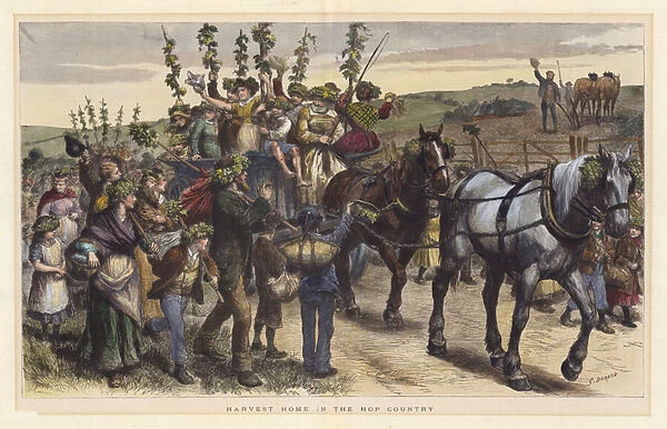 Harvest Home in the Hop Country (coloured engraving)