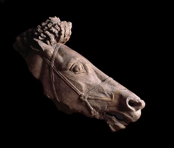Head of horse (terracotta sculpture, 5th century BC)