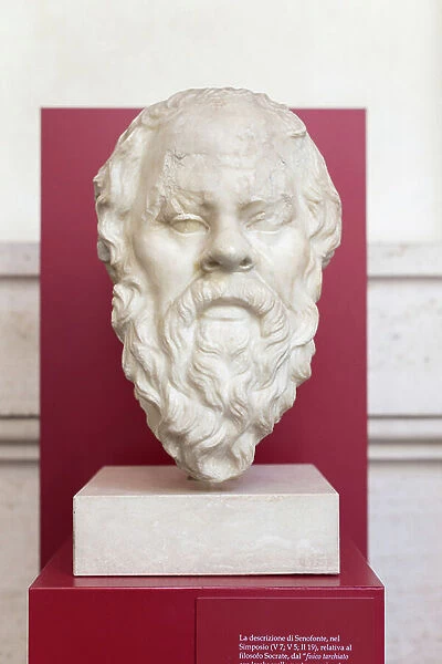 Head of Socrates, 1st century AD (marble)