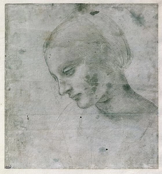 Head of a Young Woman or Head of the Virgin, c. 1490 (silverpoint on paper)