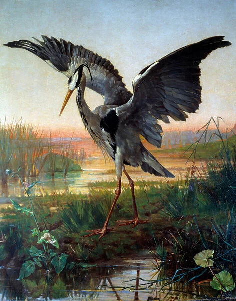 The heron. Illustration for the fable 'The heron and the snail'by Jean de La Fontaine, 17th century. Watercolour by Louis Emile Villa (1836-1900), 19th century. Chateau Thierry, Musee La Fontaine - The Heron