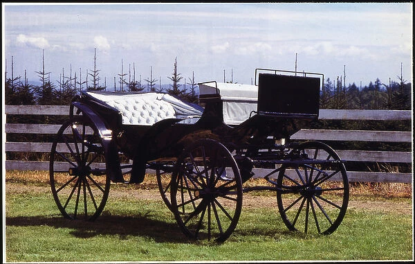 Horse drawn carriage used in The Wizard of Oz, The Barouche