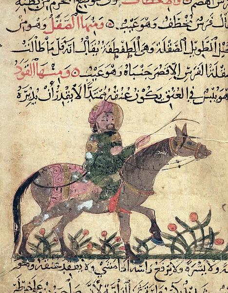 Horse and rider, illustration from the Book of Farriery by Ahmed ibn al-Husayn