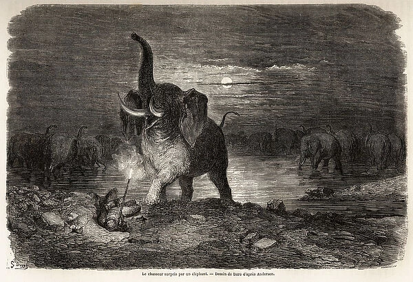 The hunter surprised by an elephant, near Lake Ngami (Botswana)