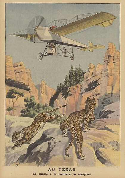 Hunting cougar by aeroplane in Texas (colour litho)