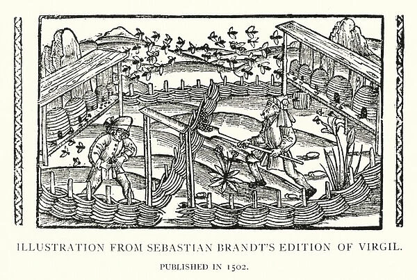 Illustration from Sebastian Brandts Edition of Virgil, published in 1502 (litho)