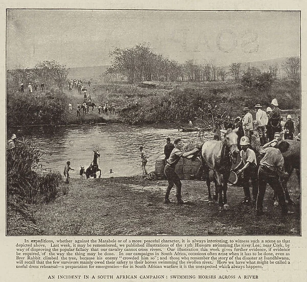 An Incident in a South African Campaign, swimming Horses across a River (b  /  w photo)