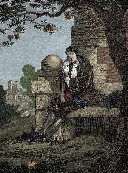 Isaac Newton observing an apple fall to the ground while seated beneath a tree