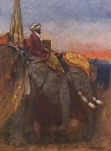 Jaipur elephants