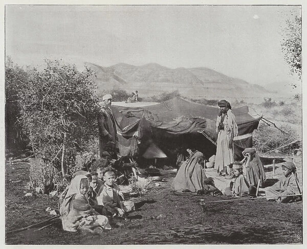 Jericho, Encampment of Bedouins (b  /  w photo)