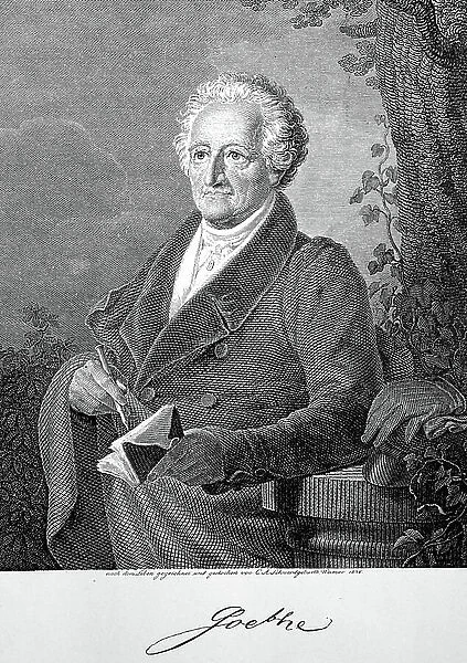 Johann Wolfgang von Goethe 83 years old