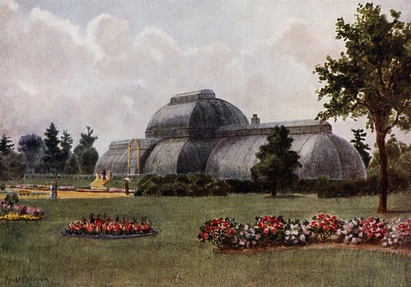 Kew Gardens: The Palm House (colour litho)