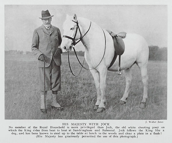 King George V with Jock, his old white shooting pony (b / w photo)